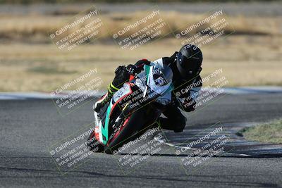 media/Oct-29-2023-Carters at The Track (Sun) [[b2bb4383ab]]/B Plus/1020am (Sunrise)/